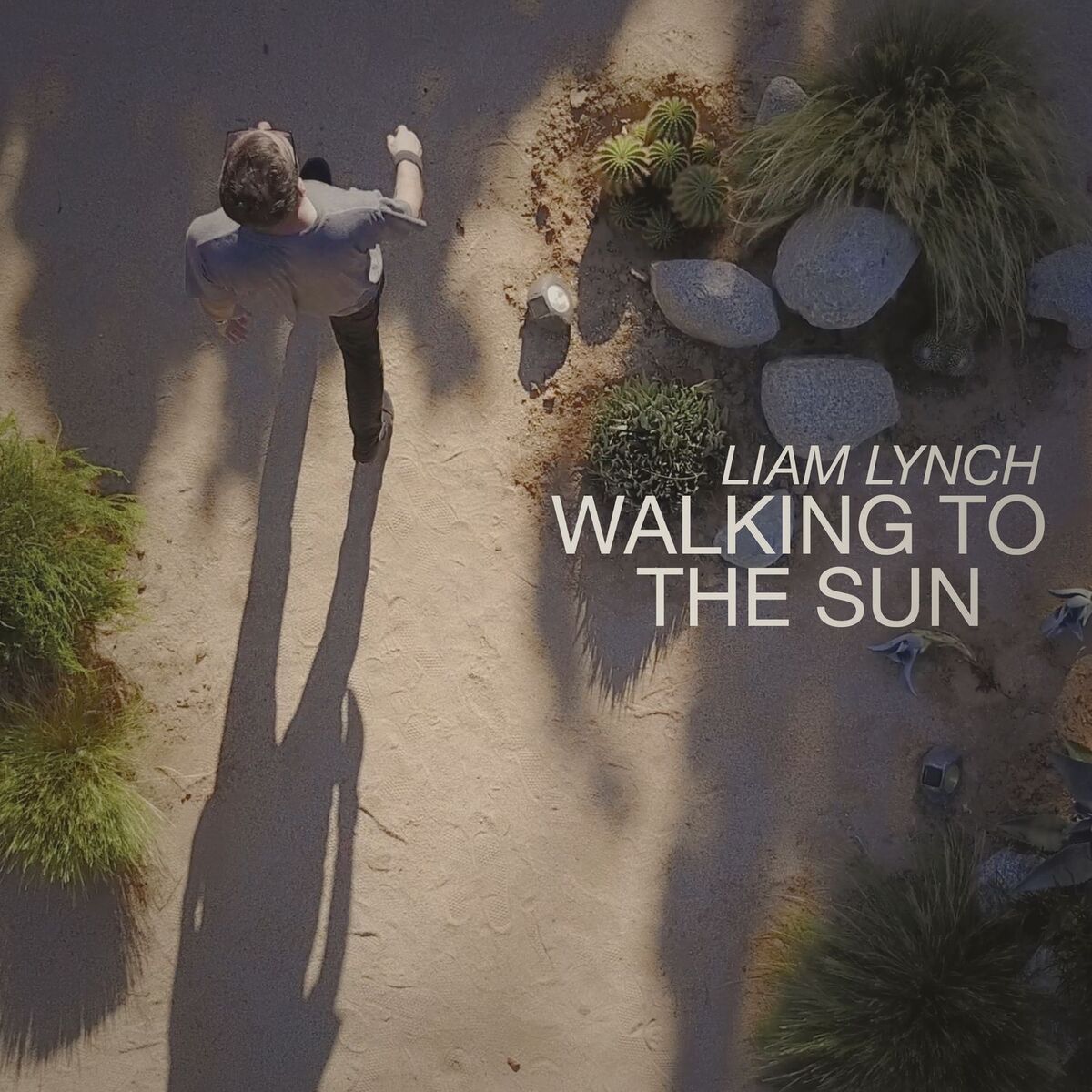 Album cover of Walking to the Sun