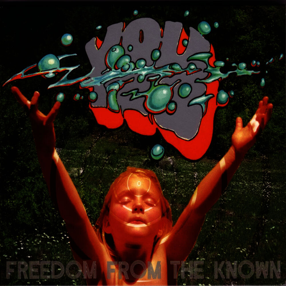 Picture of Freedom From the Known