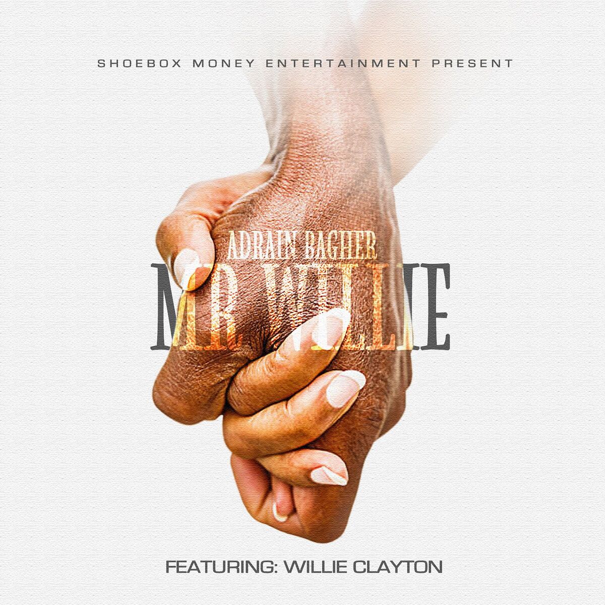 Album cover of Mr. Willie