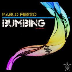 Cover of Bumbing
