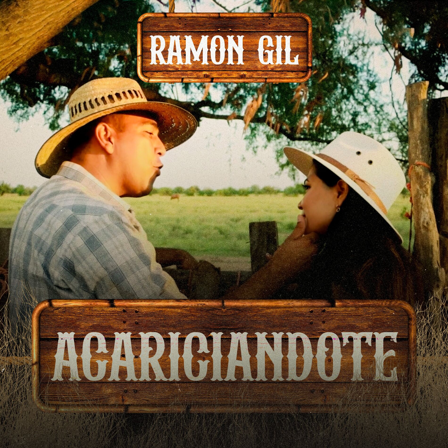 Album cover of Acariciandote