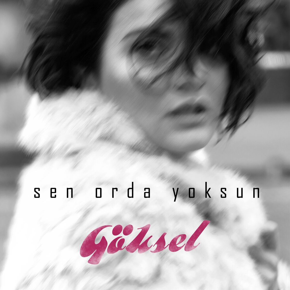 Album cover of Denize Bıraksam