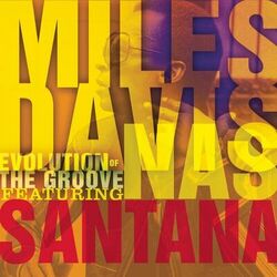Cover of Evolution Of The Groove