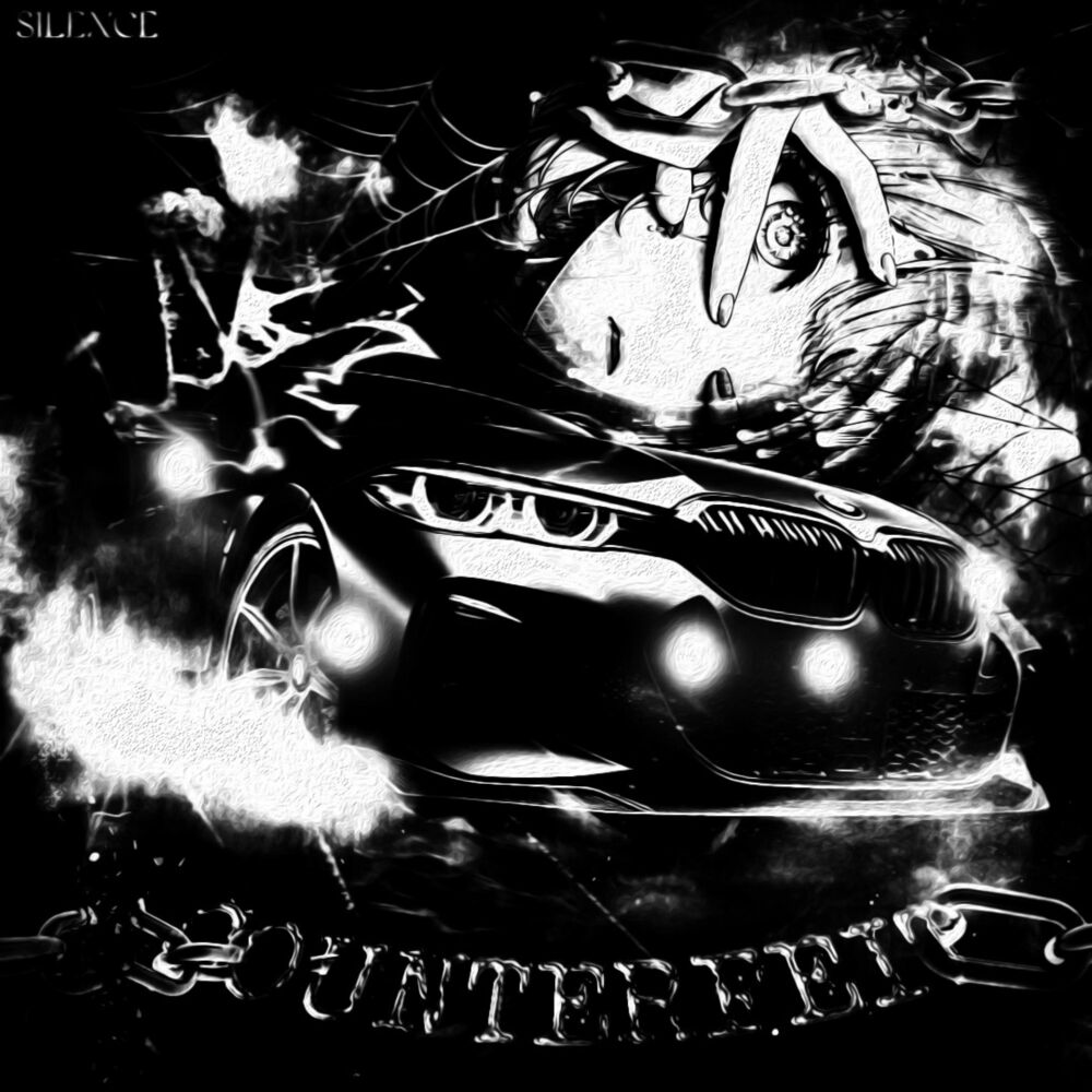 Picture of COUNTERFEIT