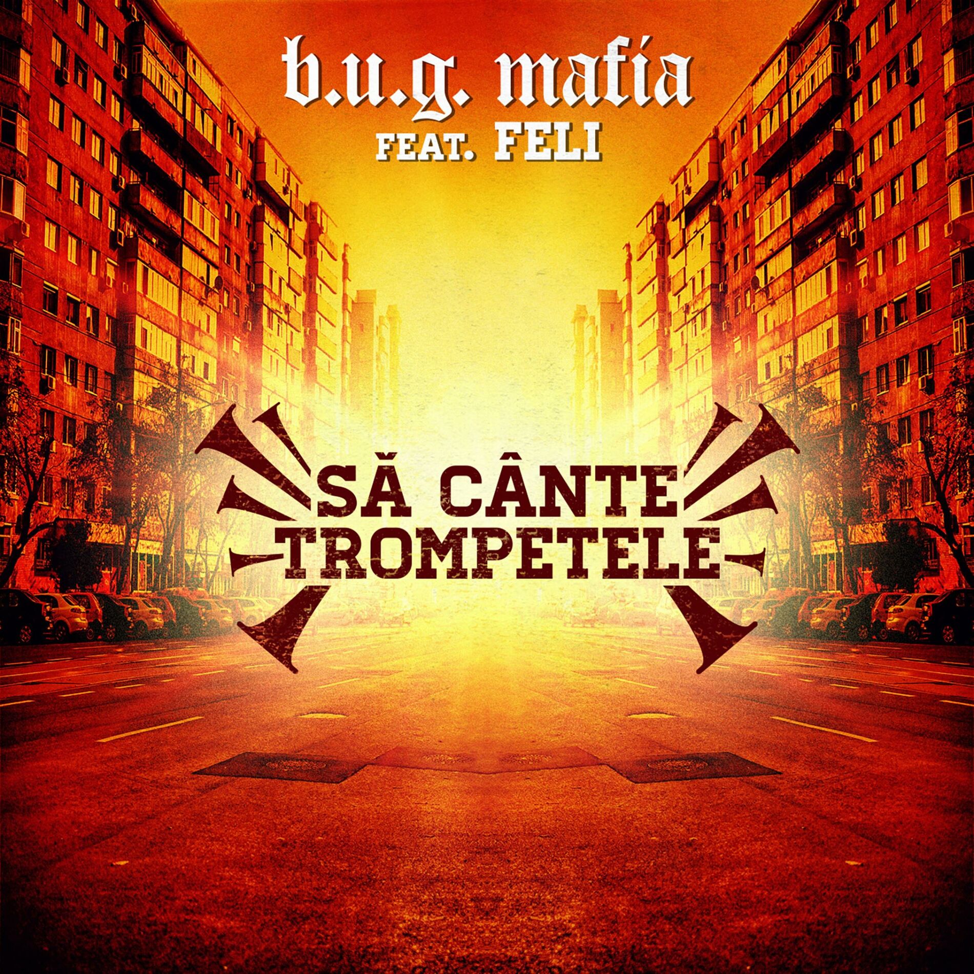 Album cover of Sa Cante Trompetele (feat. Feli)