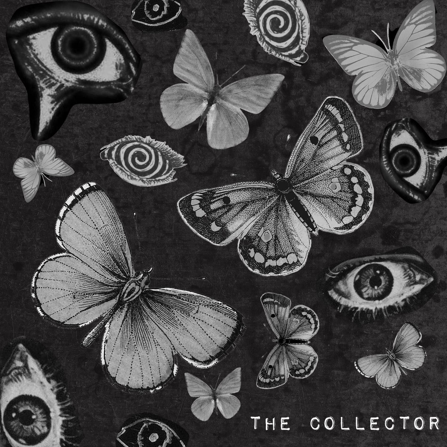 Album cover of The Collector