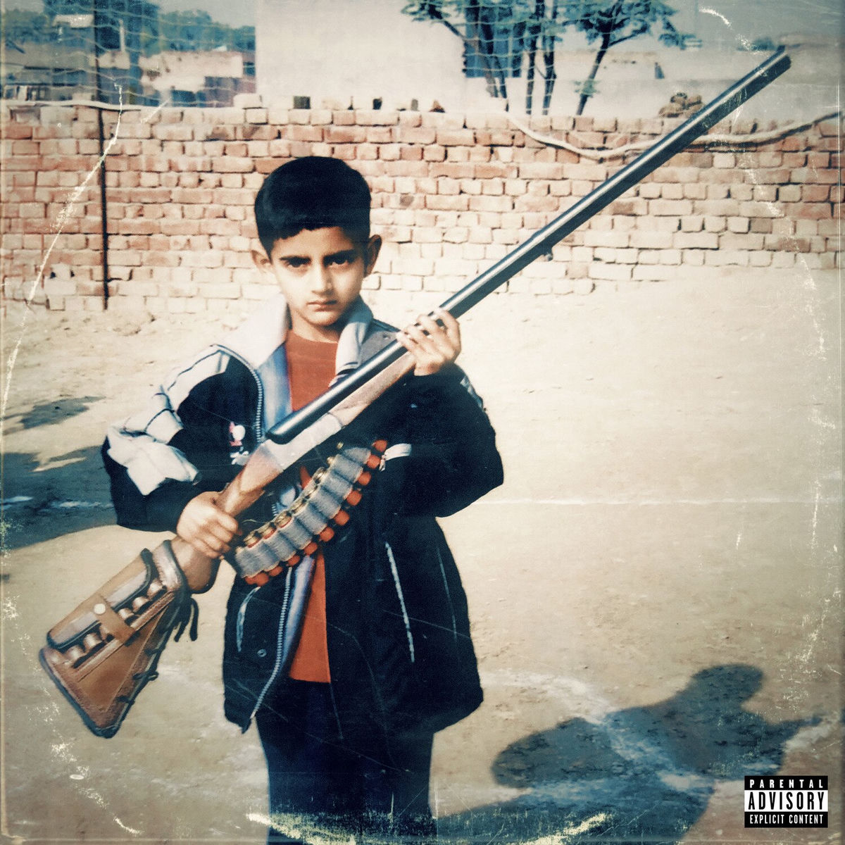 Album cover of DONALI