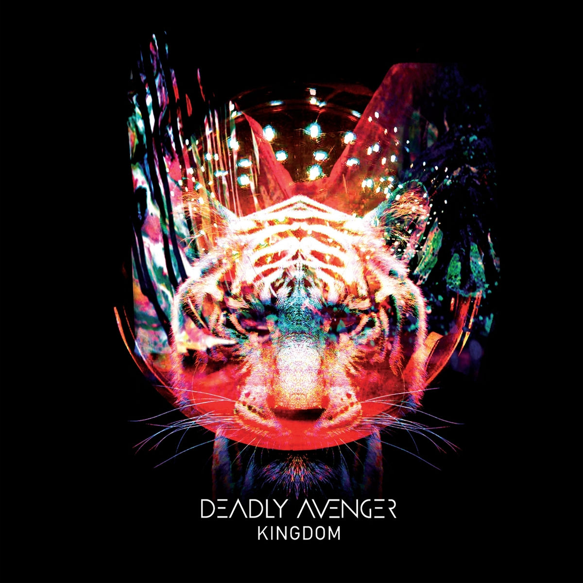 Album cover of Kingdom