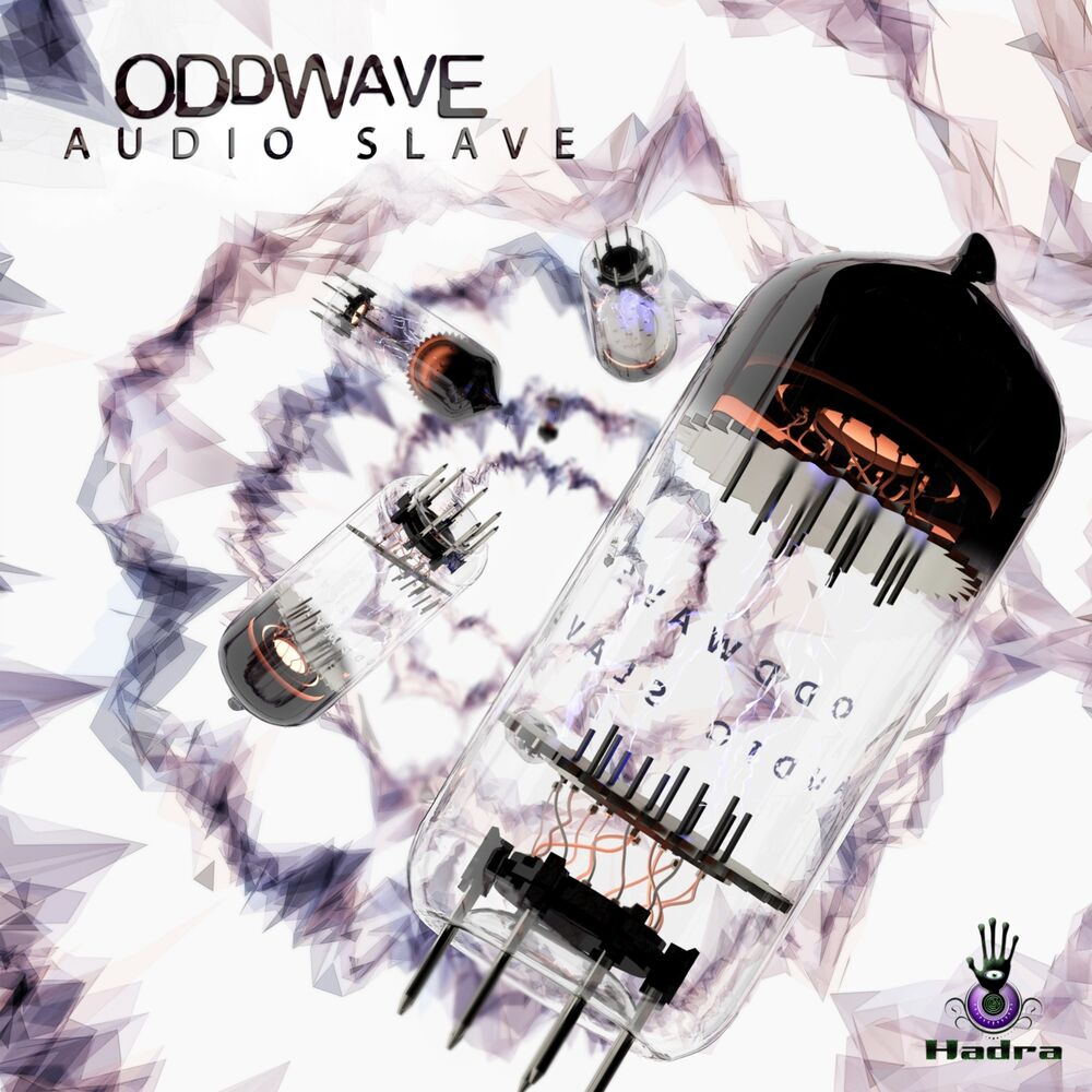 Picture of Audio Slave