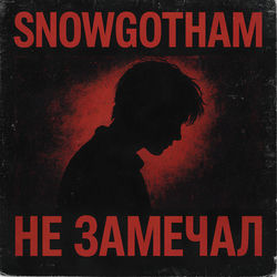 Cover of Не замечал by undefined