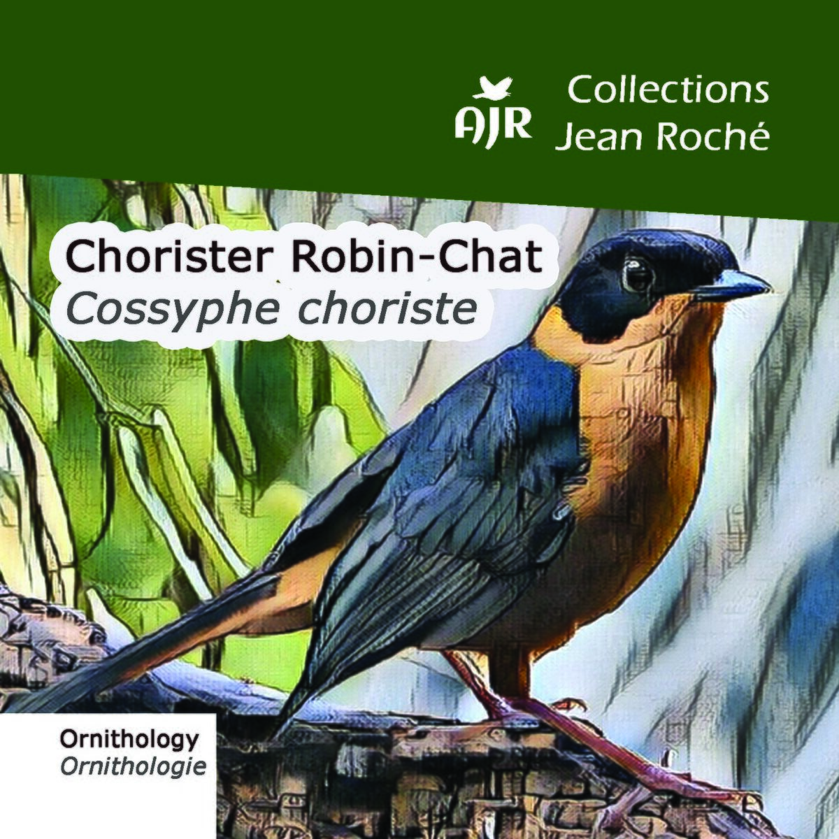 Album cover of Chorister Robin-Chat-Cossyphe choriste-Cossypha dichroa (Ornithology-Ornthologie)