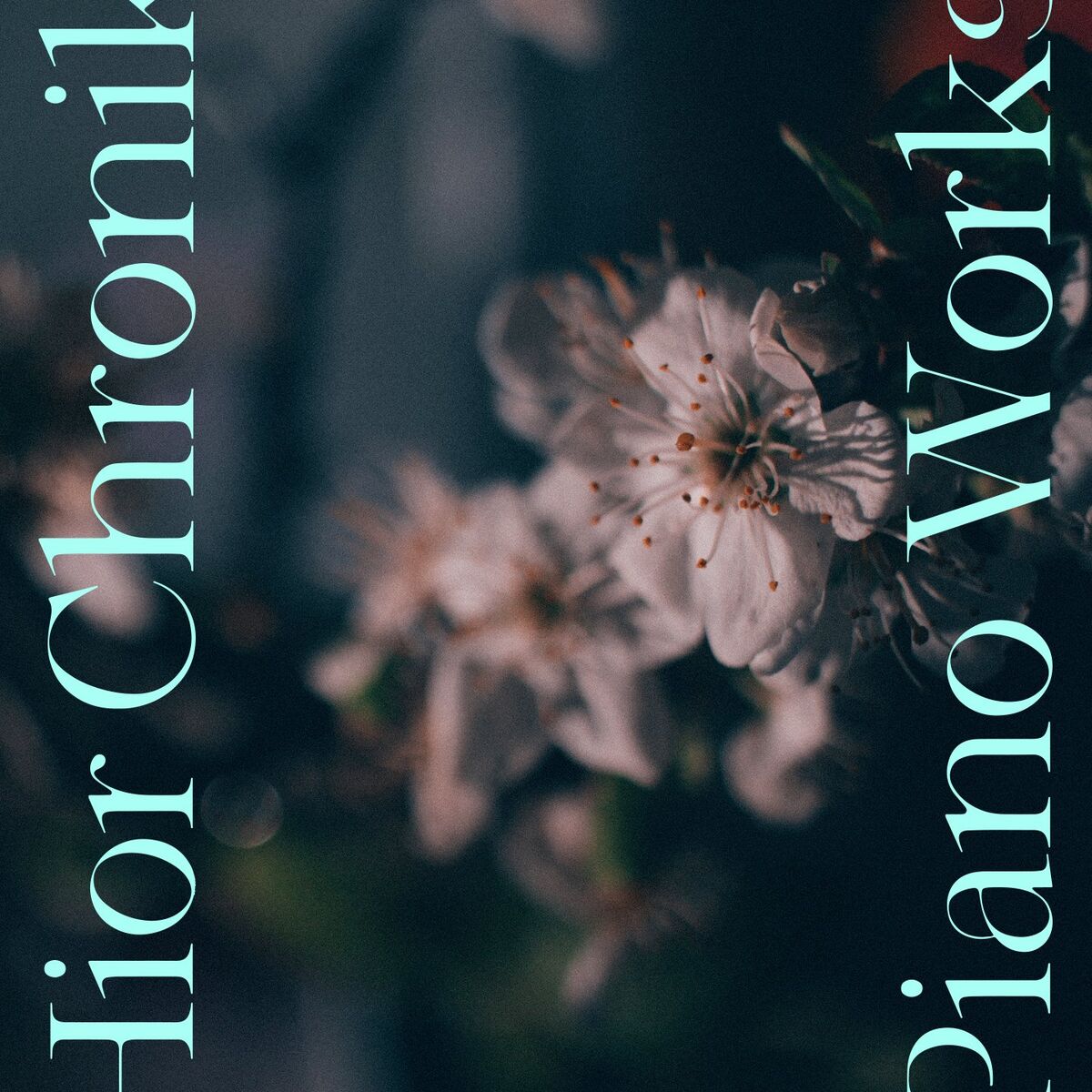 Album cover of Piano Works