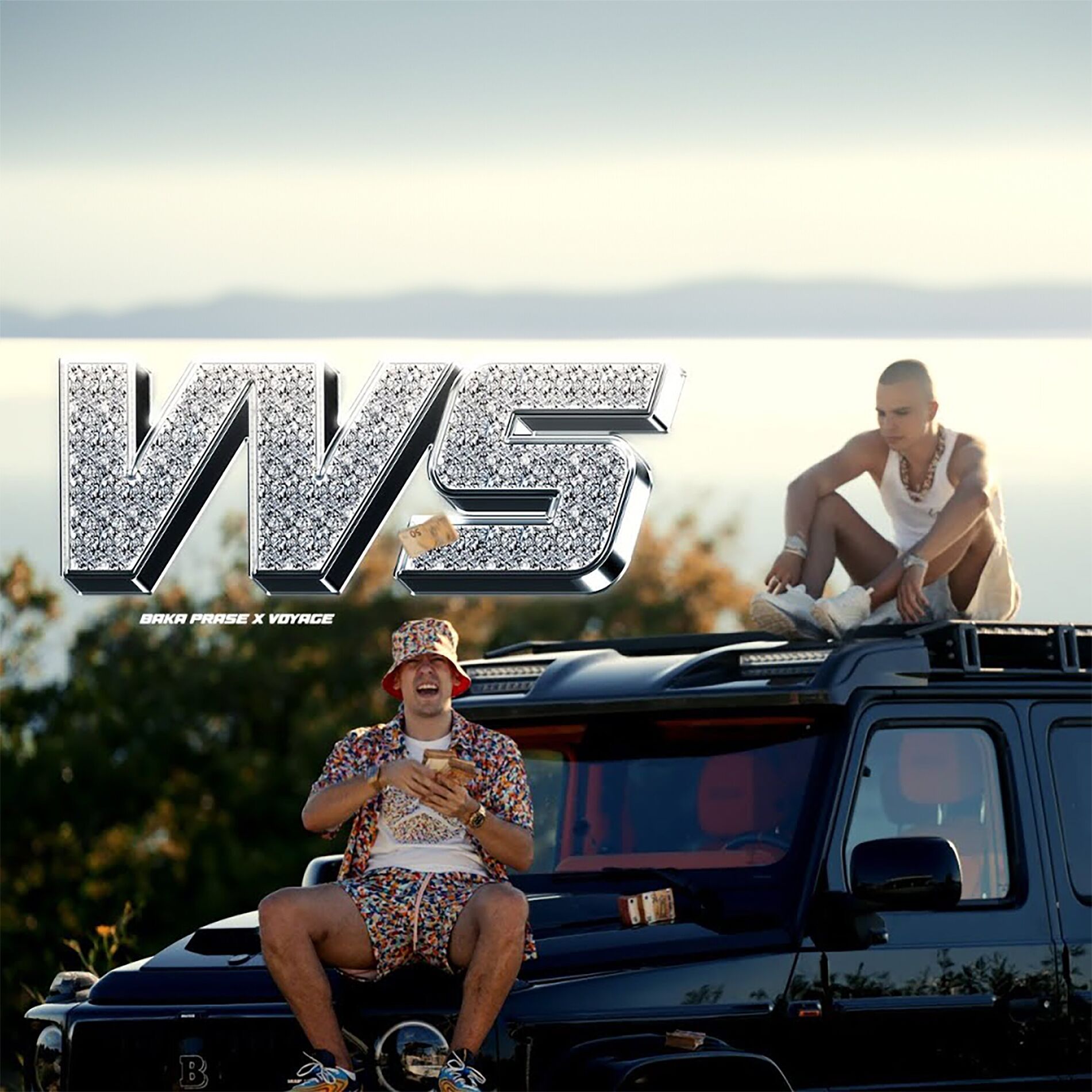 Album cover of VVS