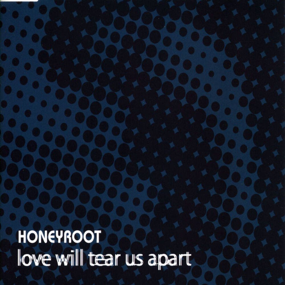 Picture of Love Will Tear Us Apart