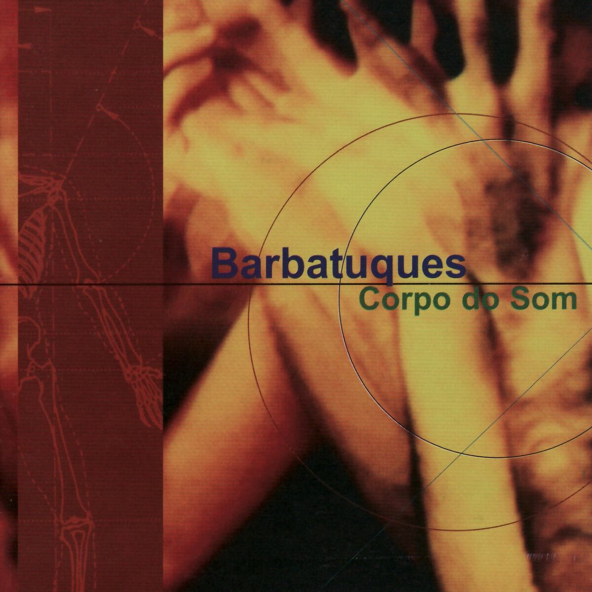 Album cover of Baião Destemperado