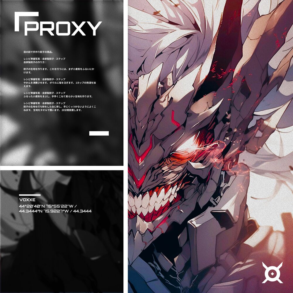Picture of PROXY