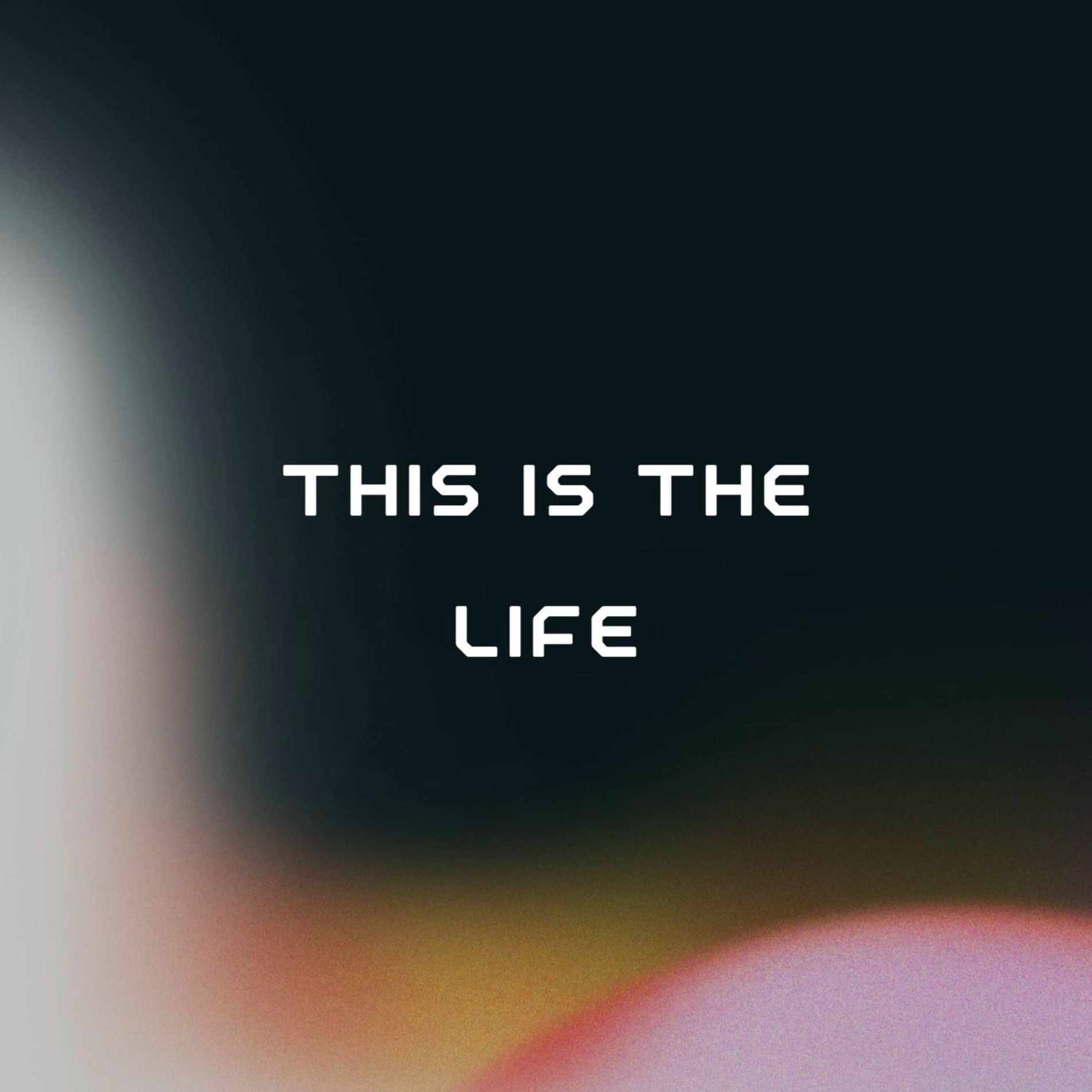 Album cover of This Is The Life (feat. Julia Hallasen)