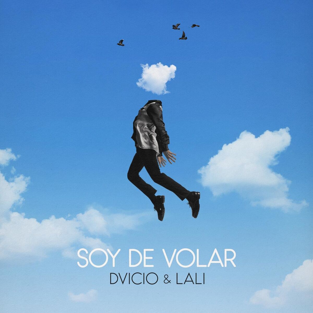 Album cover of Soy de Volar