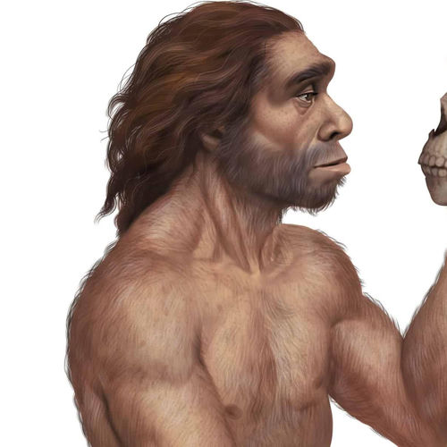 neanderthal
