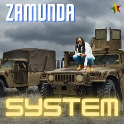Cover of System