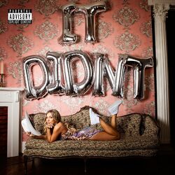 Cover of It Didn't