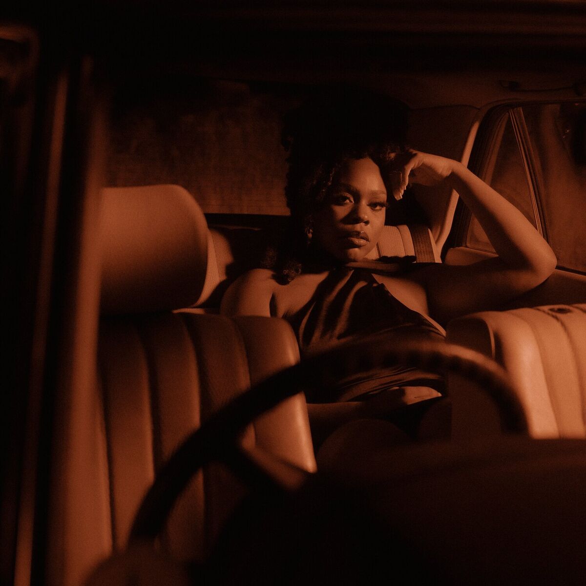 Album cover of Passenger Princess