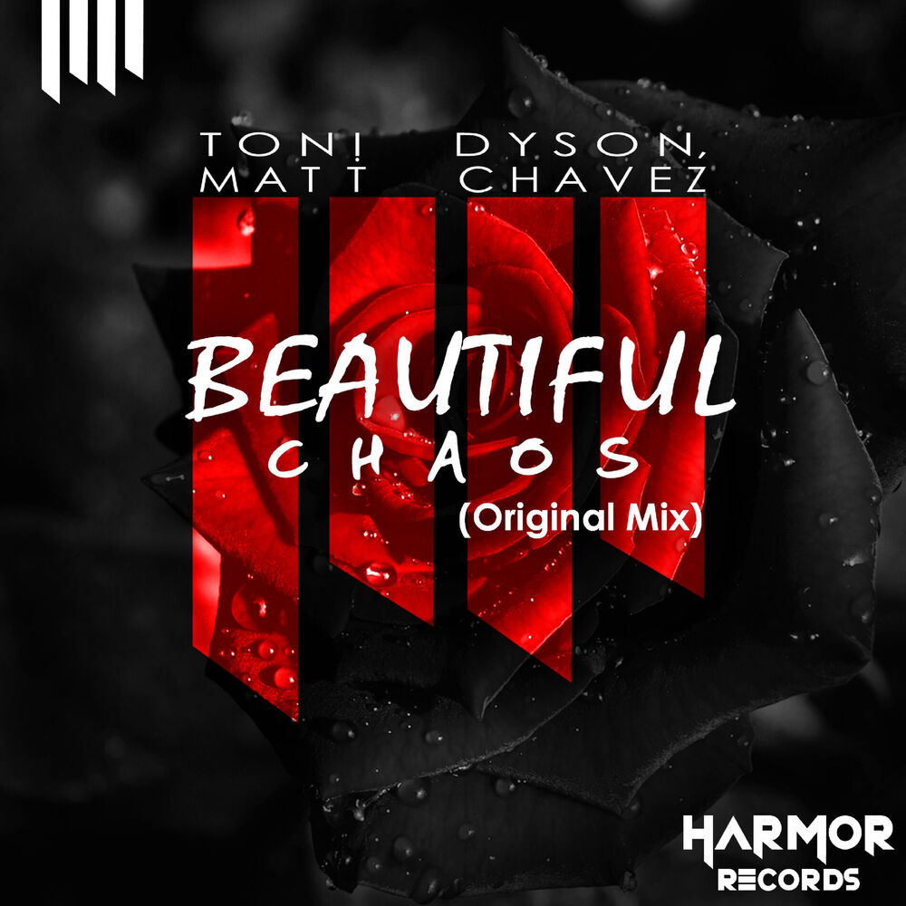 Picture of Beautiful Chaos