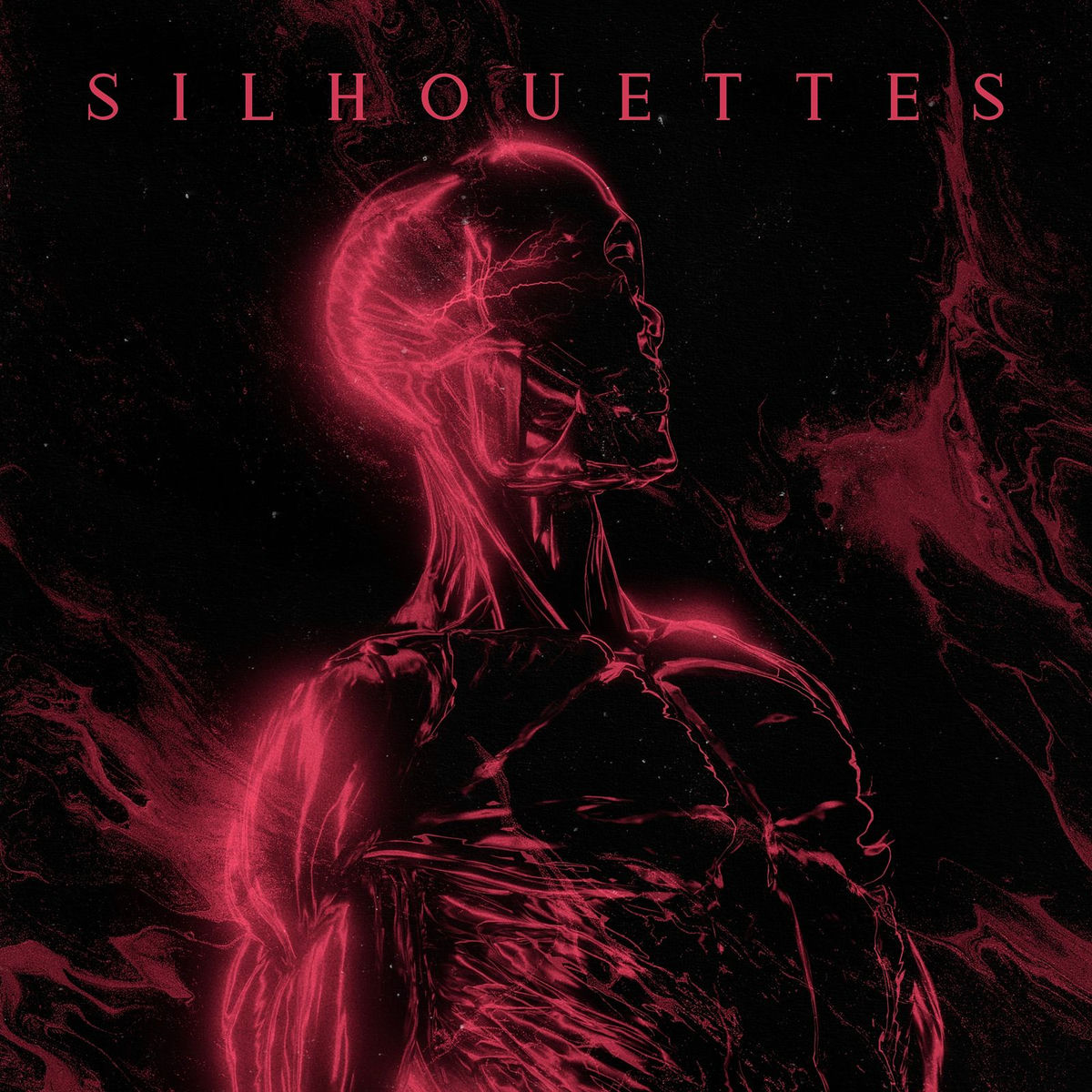 Album cover of Silhouettes