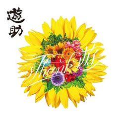 Cover of Thank you