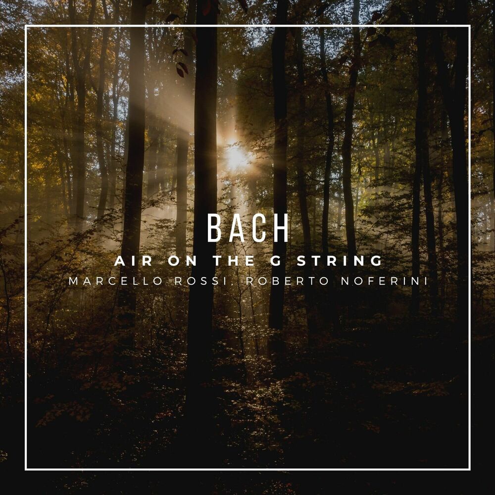 Picture of Orchestral Suite No. 3 in D Major, BWV 1068: II. Air