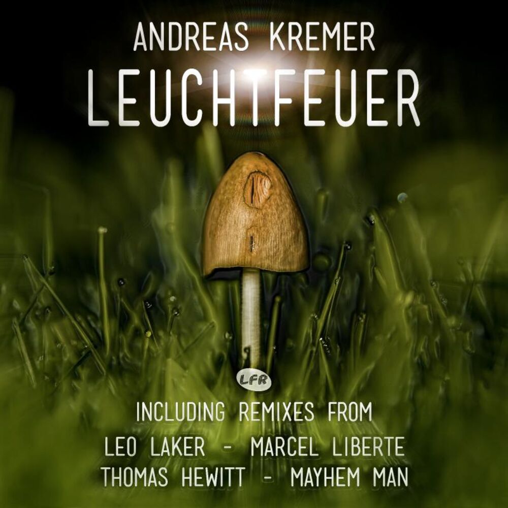 Picture of Leuchtfeuer E.P.