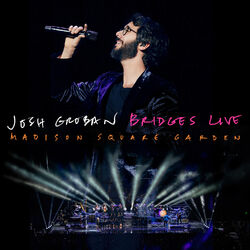 Cover of Bridges Live: Madison Square Garden