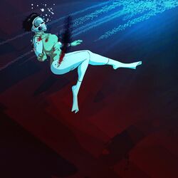 Cover of Shells in the Ghost