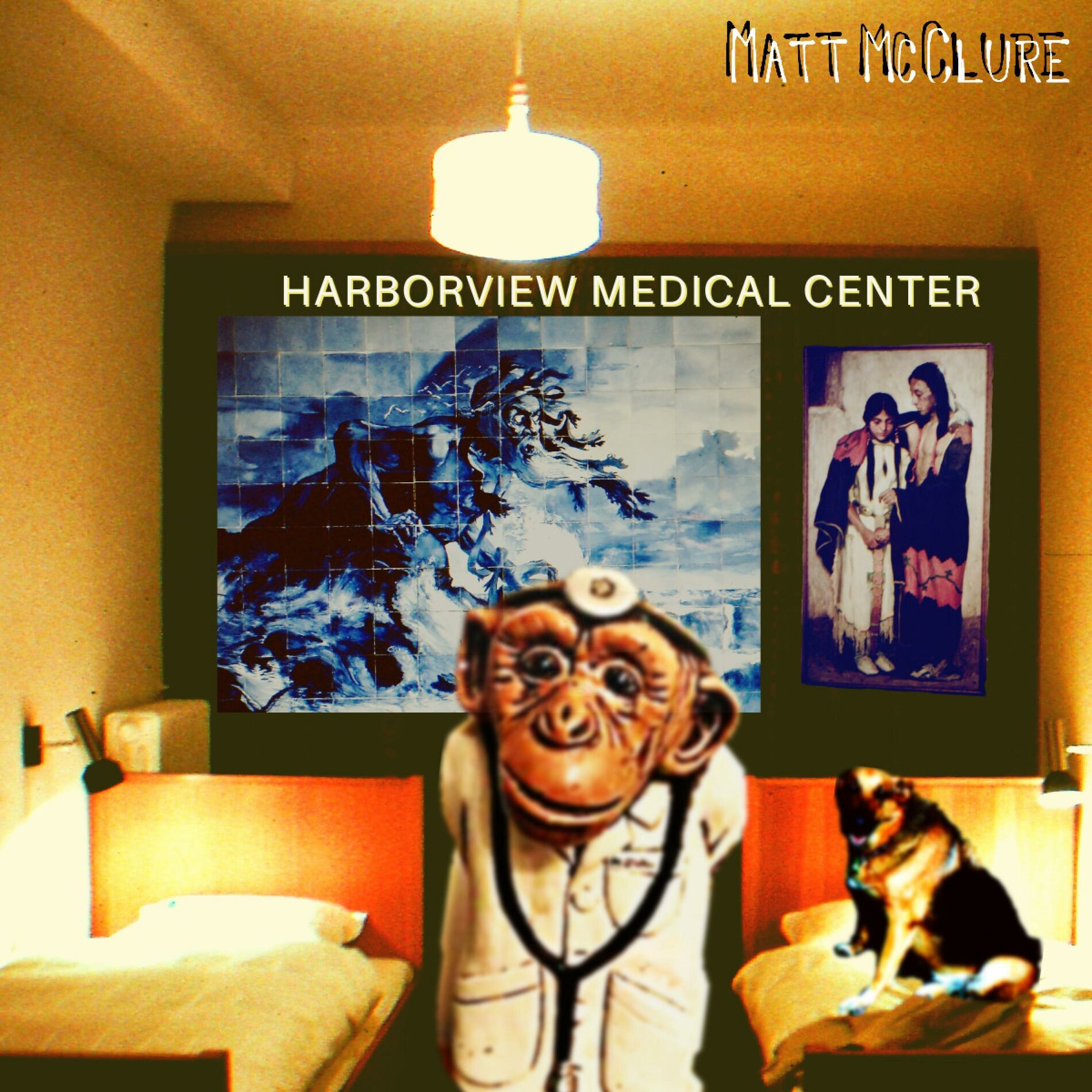 Album cover of Harborview Medical Center