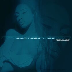 Cover of Another Life (Remixes)