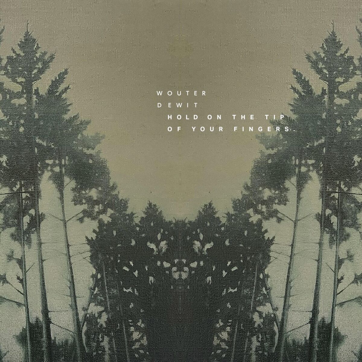 Album cover of Hold on the tip of your fingers