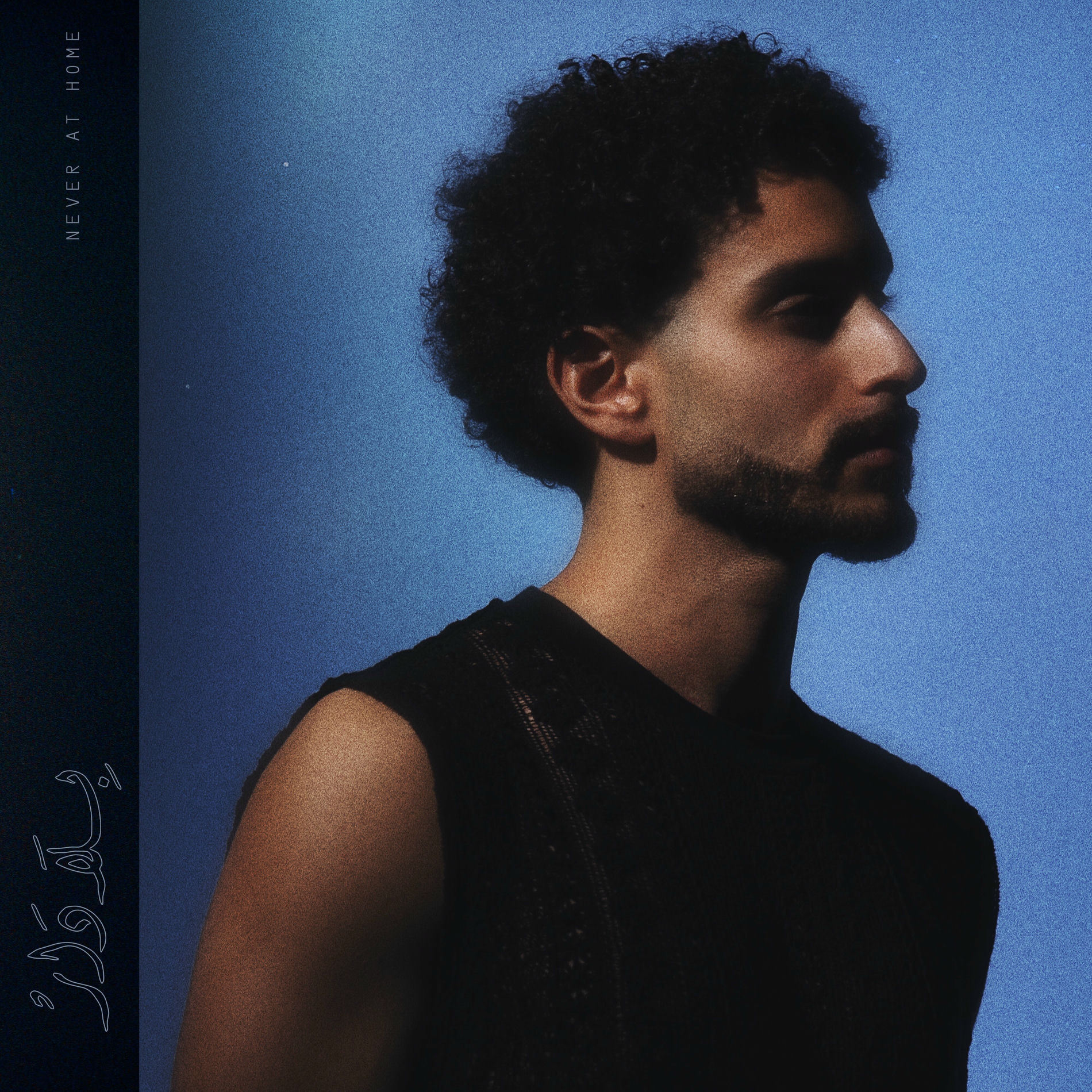 Album cover of Never At Home