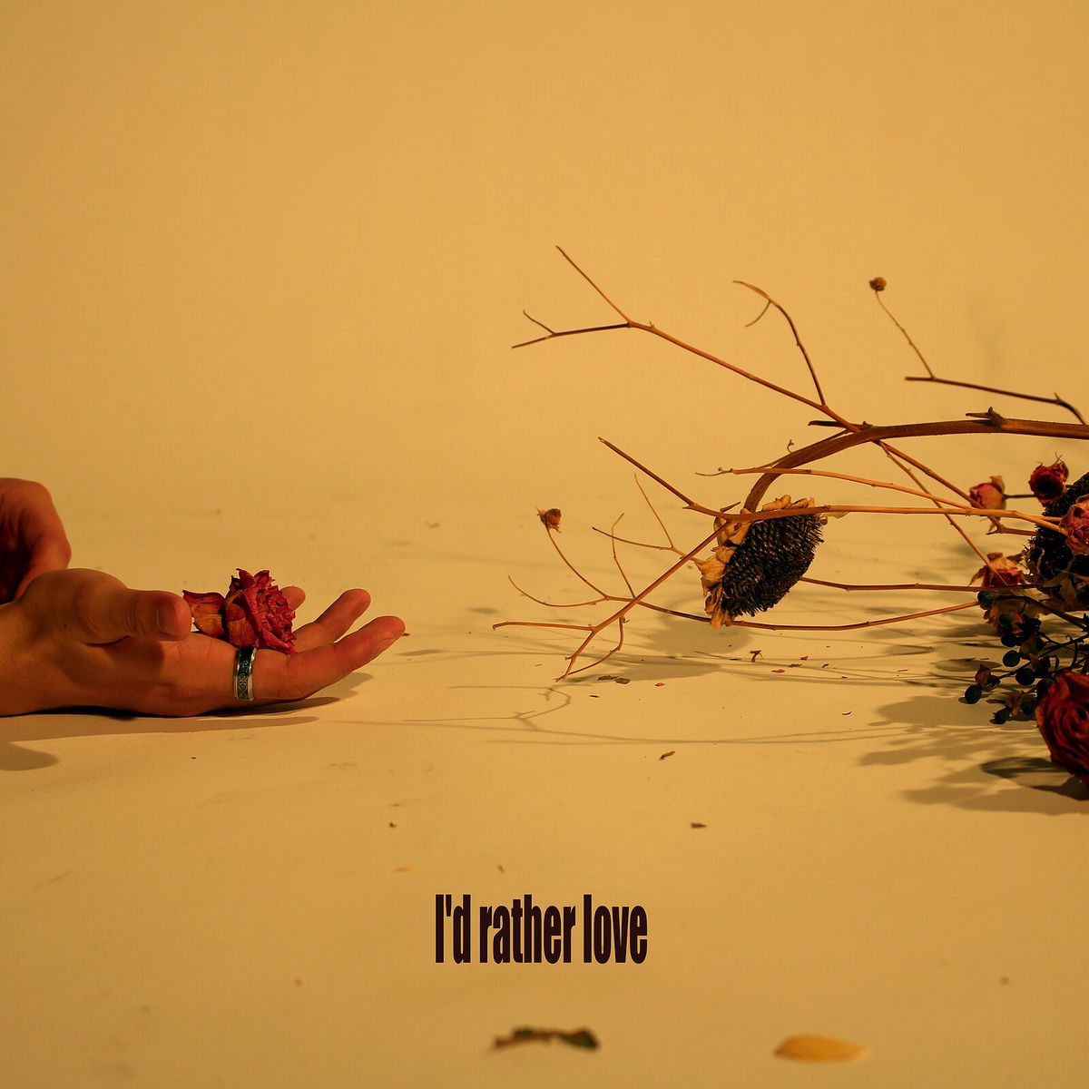 Album cover of I'd Rather Love