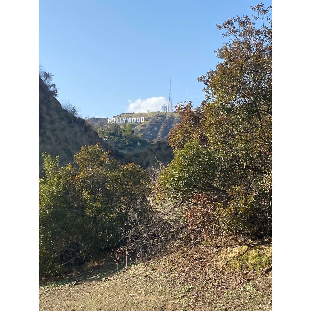 Picture of Home