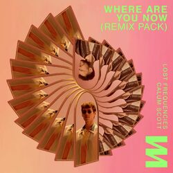 Cover of Where Are You Now  (Kungs Remix)