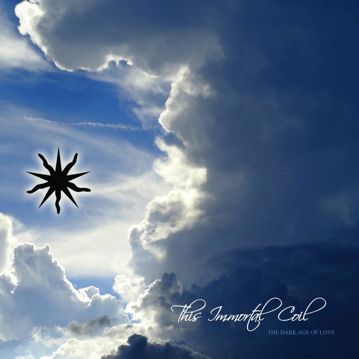 Album cover of The Dark Age of Love