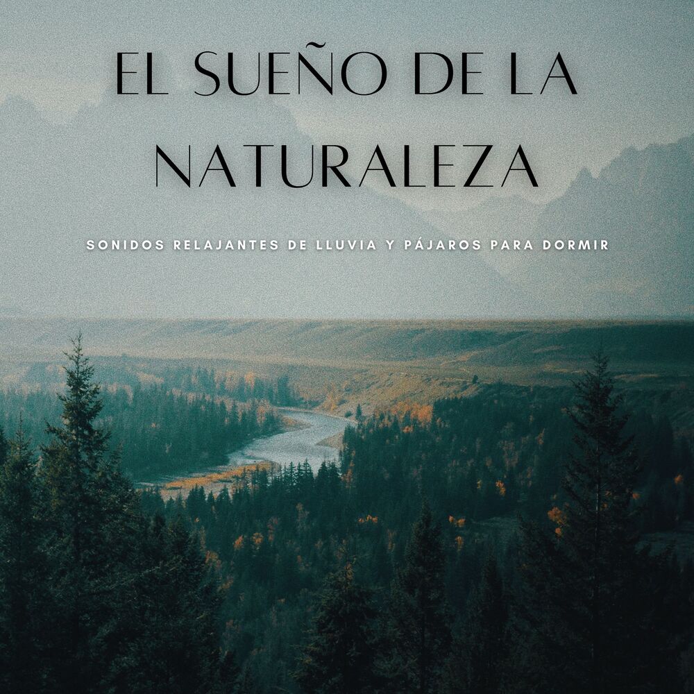 Picture of El Sueño De La Naturaleza: Sonidos Relajantes De Lluvia Y Pájaros Para Dormir