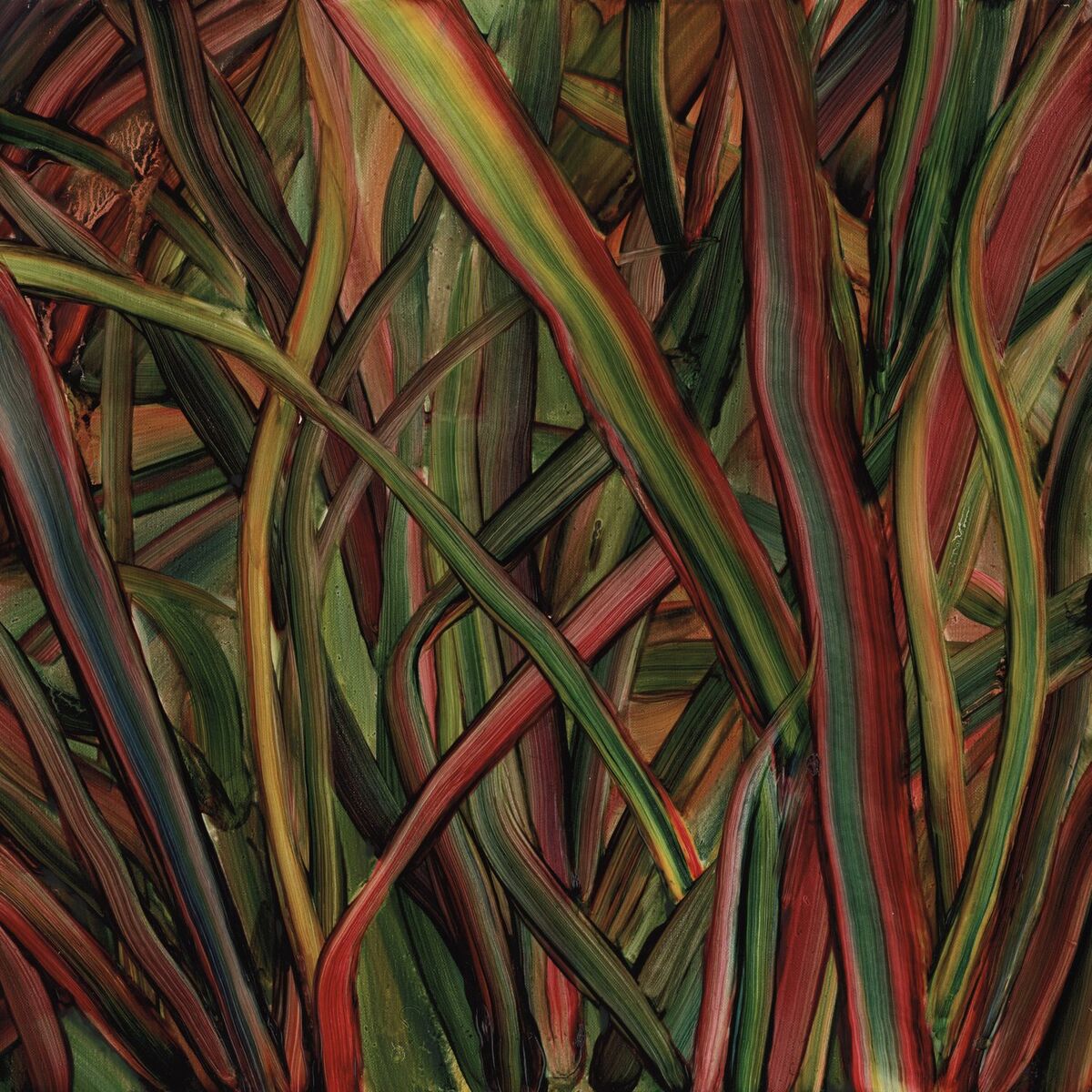 Album cover of Where Wildness Grows