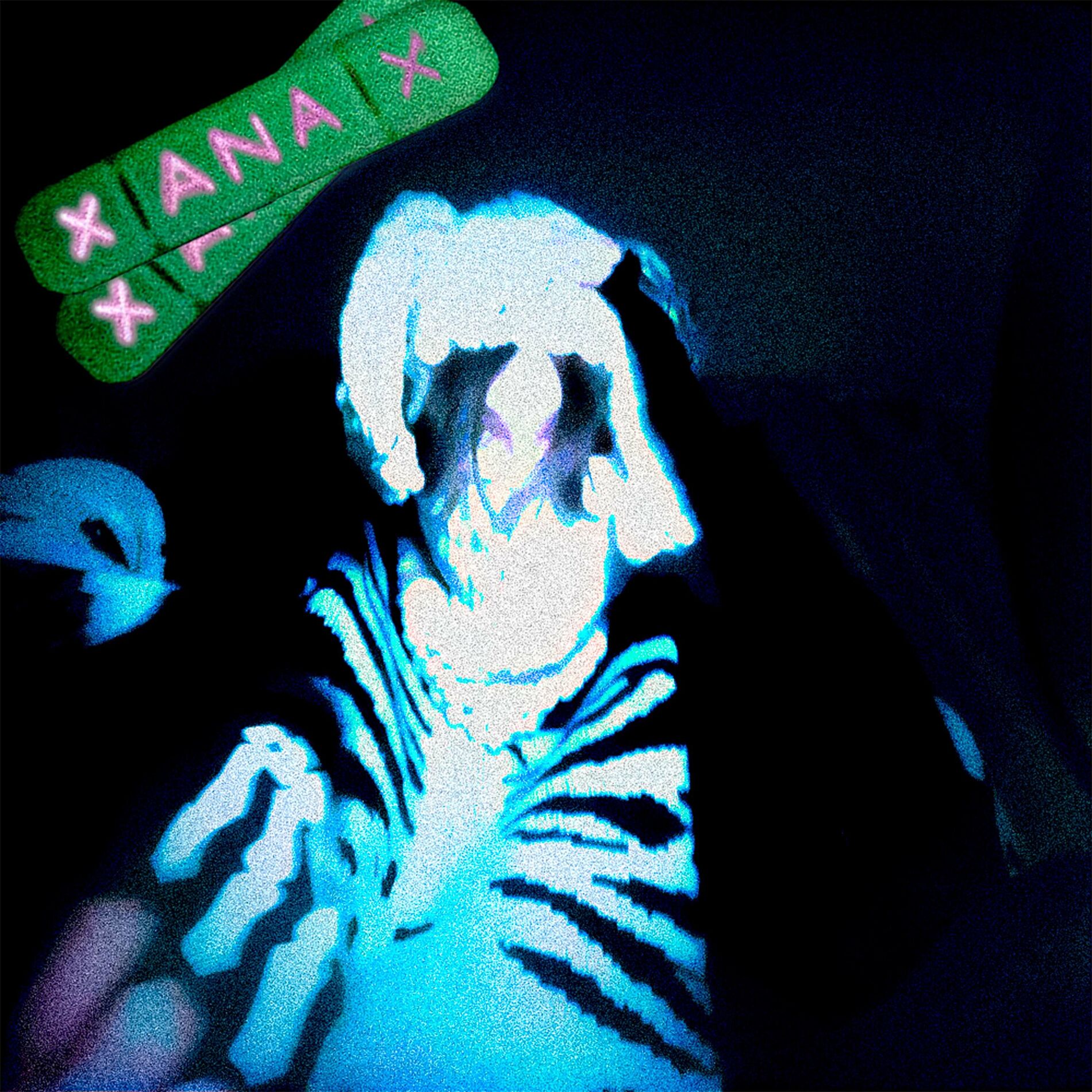 Album cover of ЗАНЫ