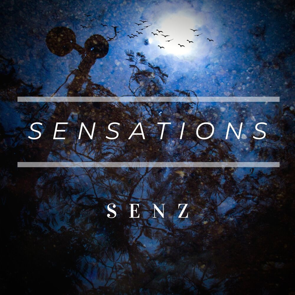 Picture of Sensations