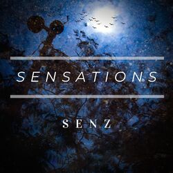Cover of Sensations