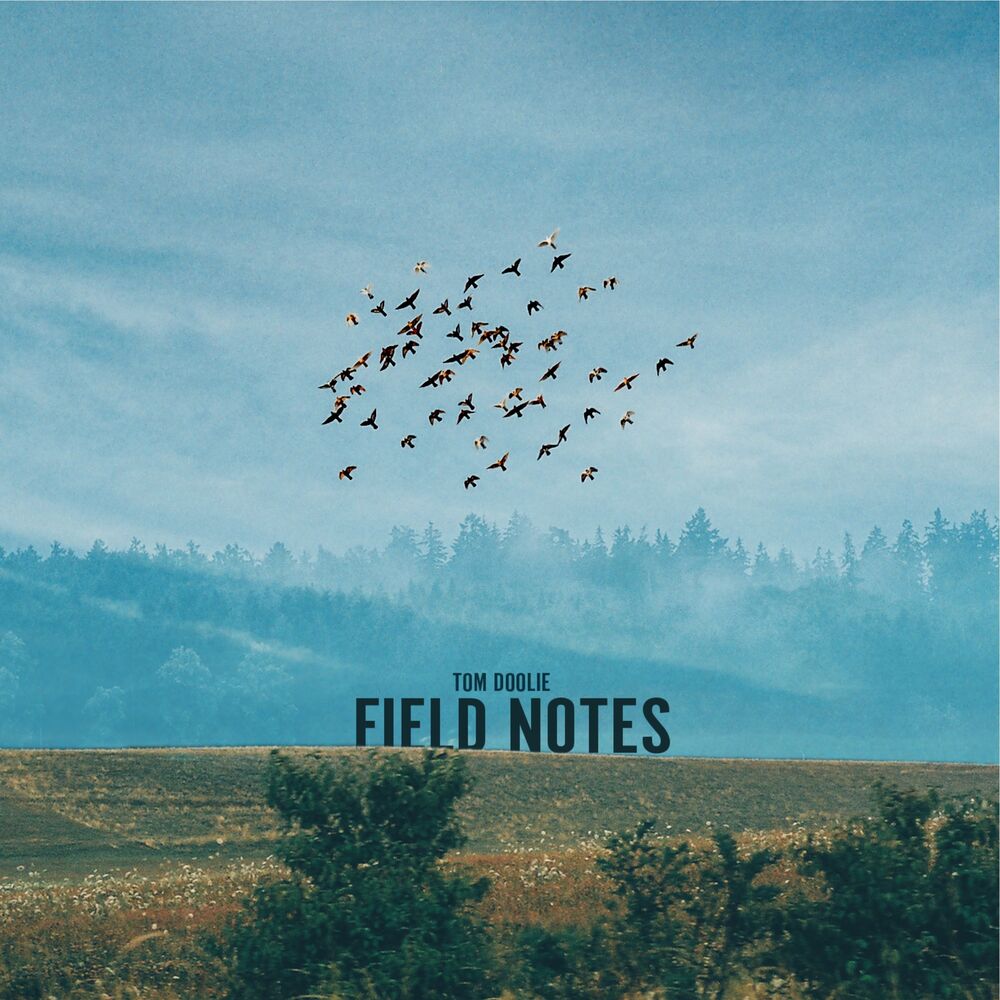 Picture of Field Notes