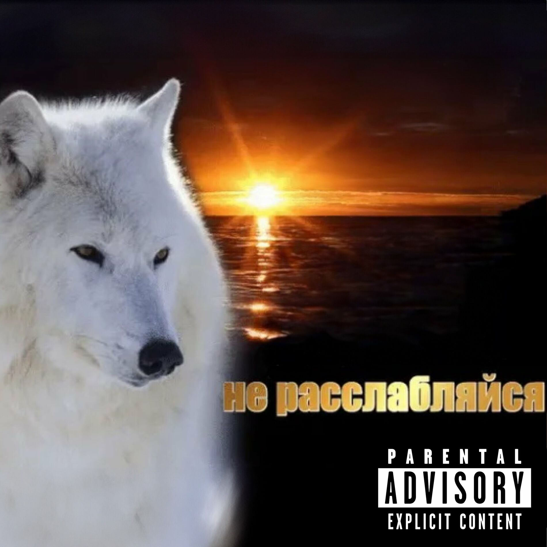 Album cover of не расслабляйся
