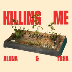 Cover of Killing Me