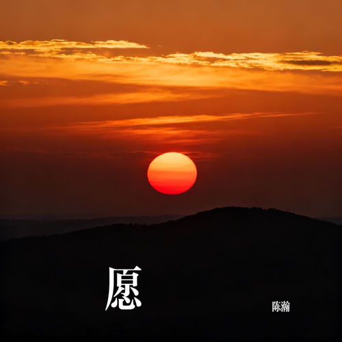愿